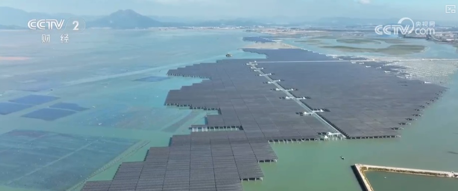 绿色资源变“绿色财富” 多元“借绿生金”路径助力百姓“点绿成金”“点海成金” 绿色资源变“绿色财富” 多元“借绿生金”路径助力百姓“点绿成金”“点海成金”