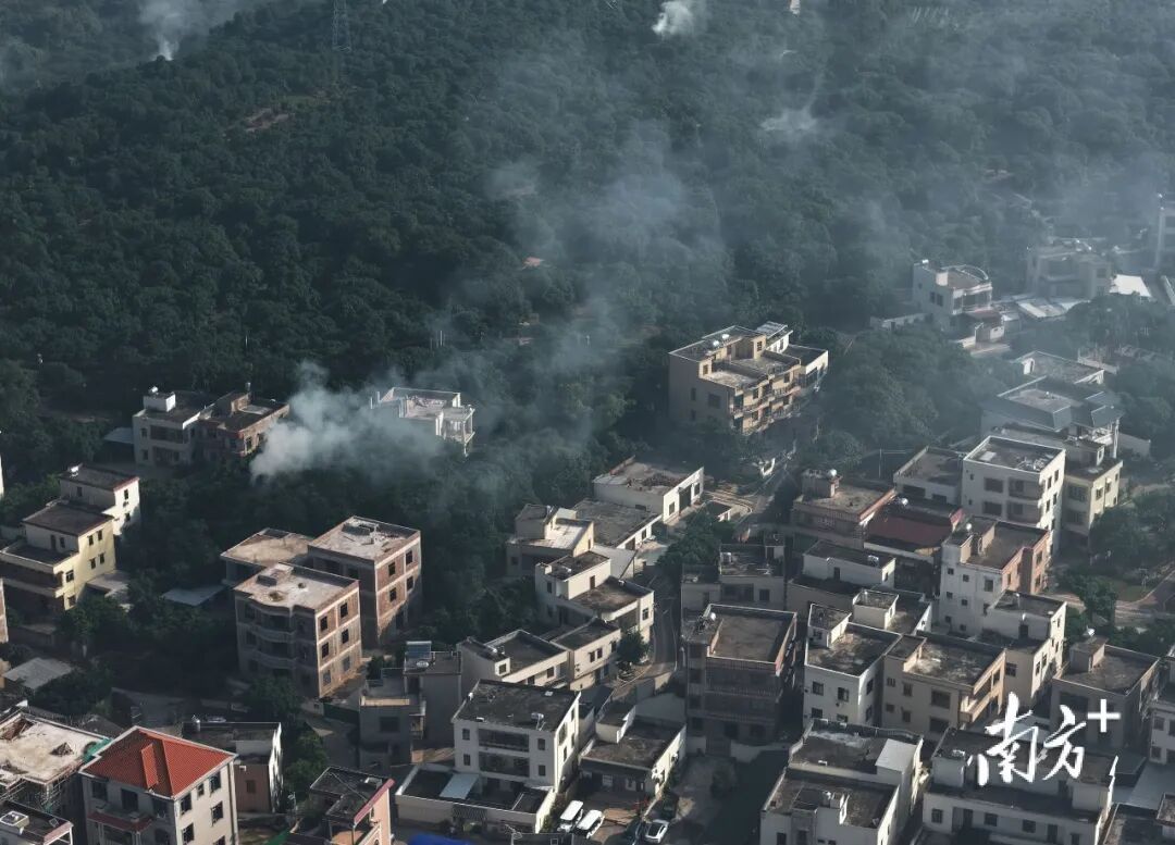 广东这个村火了!村民:当初只是为了“赚个鸡蛋钱” 广东这个村火了!村民:当初只是为了“赚个鸡蛋钱”