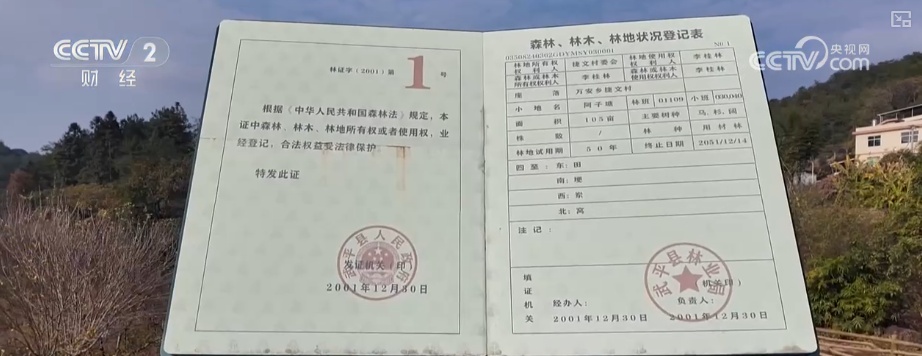 绿色资源变“绿色财富” 多元“借绿生金”路径助力百姓“点绿成金”“点海成金” 绿色资源变“绿色财富” 多元“借绿生金”路径助力百姓“点绿成金”“点海成金”