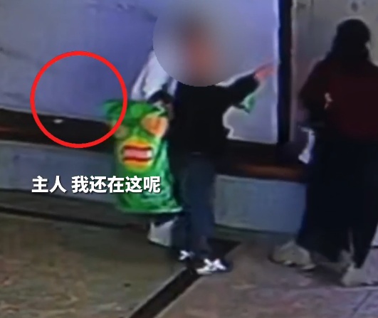 从心慌慌到蹦跶跶,小朋友的快乐要“溢出”屏幕了 从心慌慌到蹦跶跶,小朋友的快乐要“溢出”屏幕了