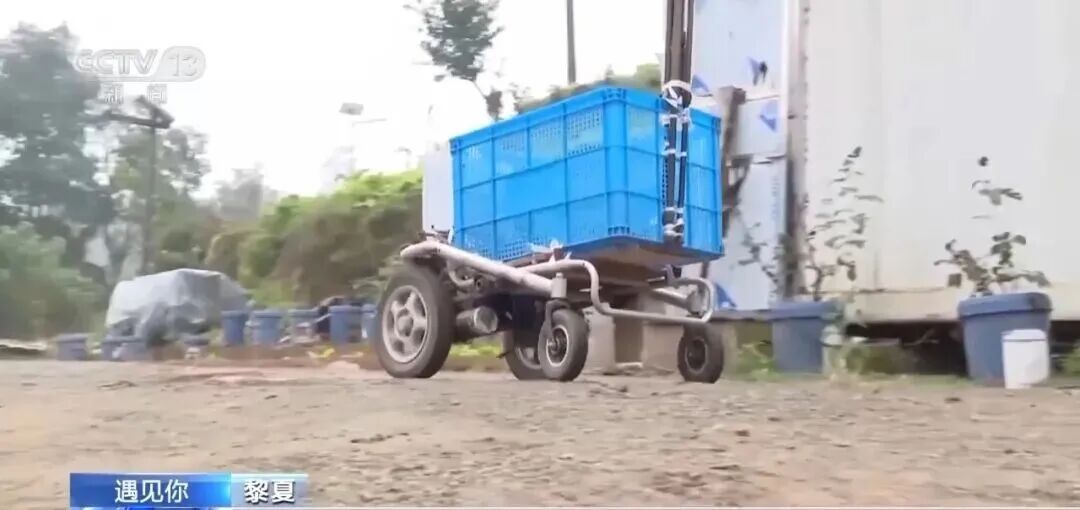 仅一根手指一根脚趾能动,他却和母亲建起一座农场! 仅一根手指一根脚趾能动,他却和母亲建起一座农场!