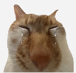 将AI当“树洞”?医生提醒…… 将AI当“树洞”?医生提醒……