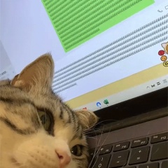 将AI当“树洞”?医生提醒…… 将AI当“树洞”?医生提醒……