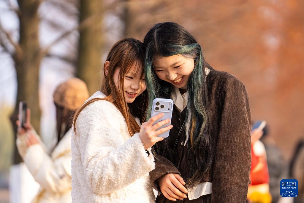 长沙:水杉披红引客来 长沙:水杉披红引客来