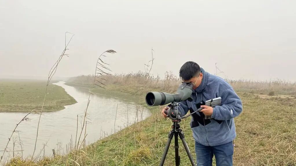 数十万只候鸟,是怎么“数”出来的? 数十万只候鸟,是怎么“数”出来的?