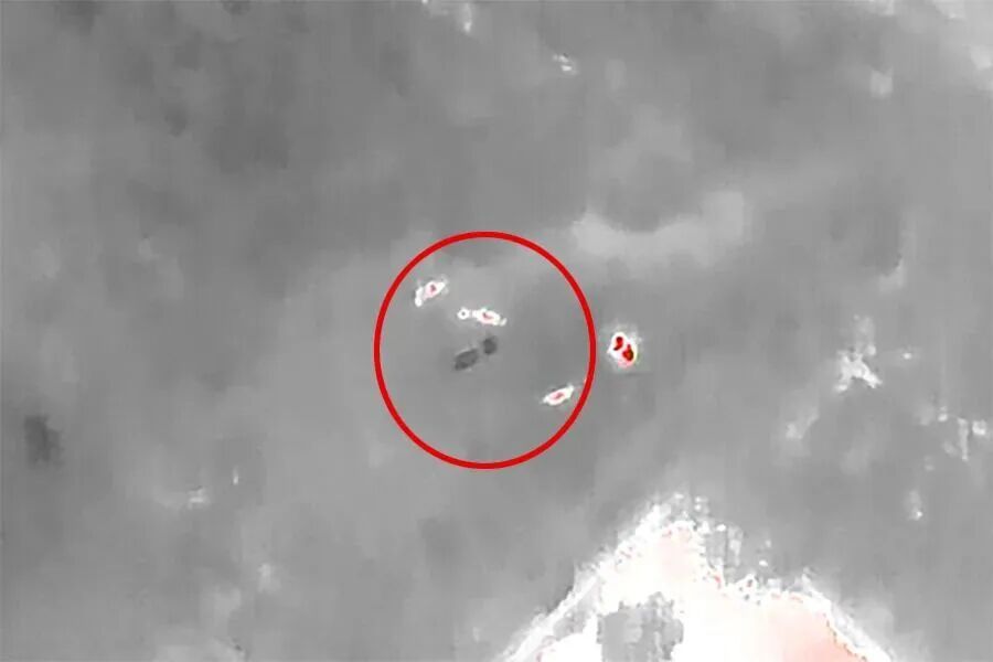 三头牛山中走失急坏村民……别急,有警察在! 三头牛山中走失急坏村民……别急,有警察在!