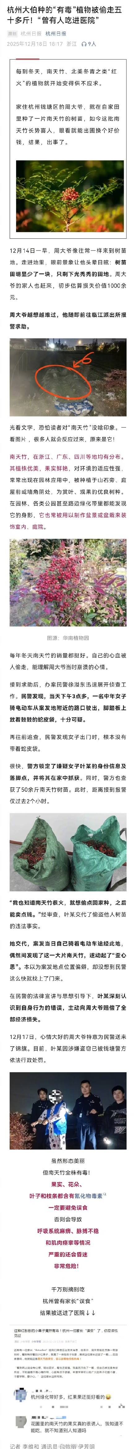 大爷种的有毒植物被偷走五十多斤 大爷种的有毒植物被偷走五十多斤