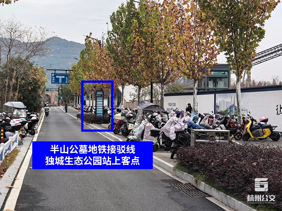 事关冬至祭扫!杭州公交开通专线 事关冬至祭扫!杭州公交开通专线