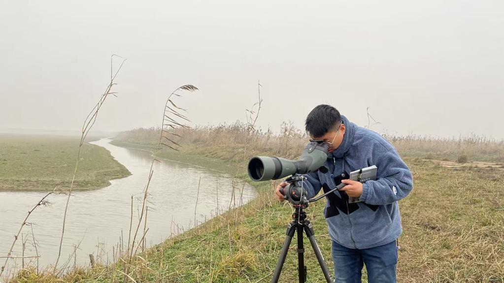 数十万只候鸟,是怎么“数”出来的? 数十万只候鸟,是怎么“数”出来的?