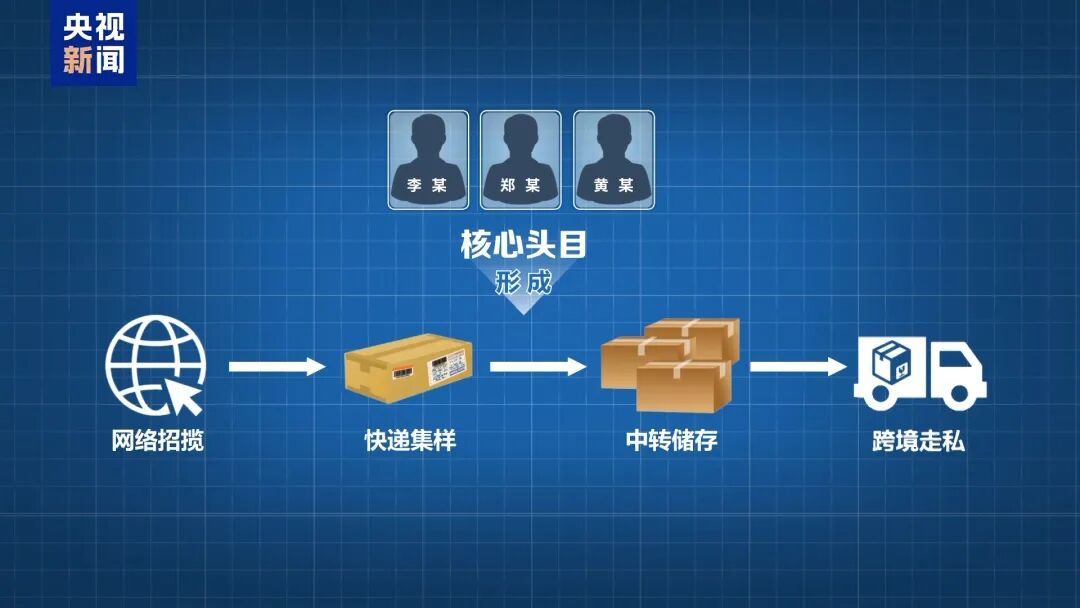 涉全国23省份！广州破获特大走私孕妇血样系列案