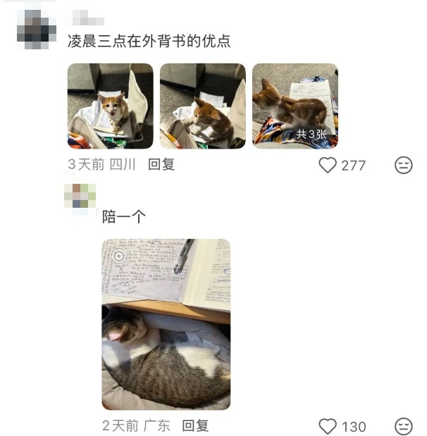 考研味最重的一张照片就像……“真的不是在下五子棋吗” 考研味最重的一张照片就像……“真的不是在下五子棋吗”