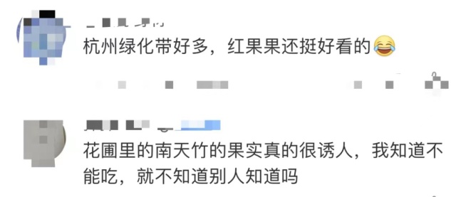 杭州大伯种的“有毒”植物被偷走五十多斤!“曾有人吃进医院” 杭州大伯种的“有毒”植物被偷走五十多斤!“曾有人吃进医院”