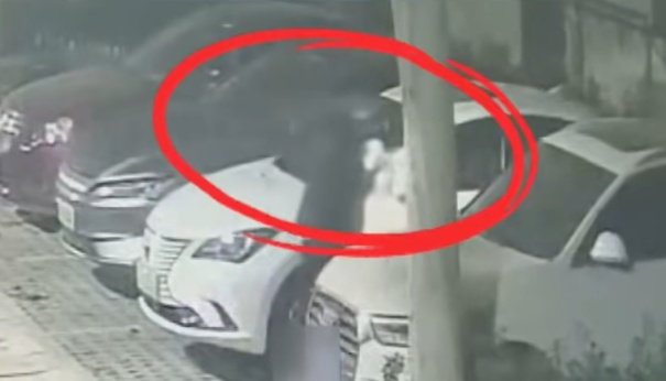 两人趁夜色发放“色情”小卡片,实为电诈引流工具,警方提醒→ 两人趁夜色发放“色情”小卡片,实为电诈引流工具,警方提醒→