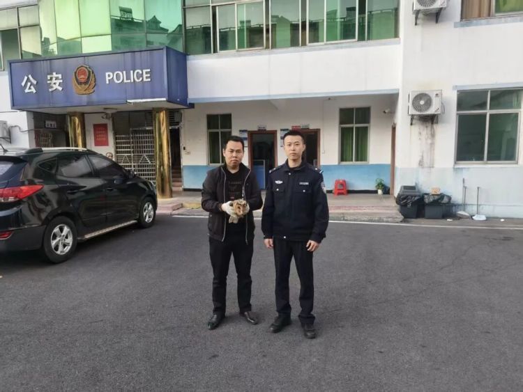 国家二级保护动物“猴面鹰”,成功获救! 国家二级保护动物“猴面鹰”,成功获救!