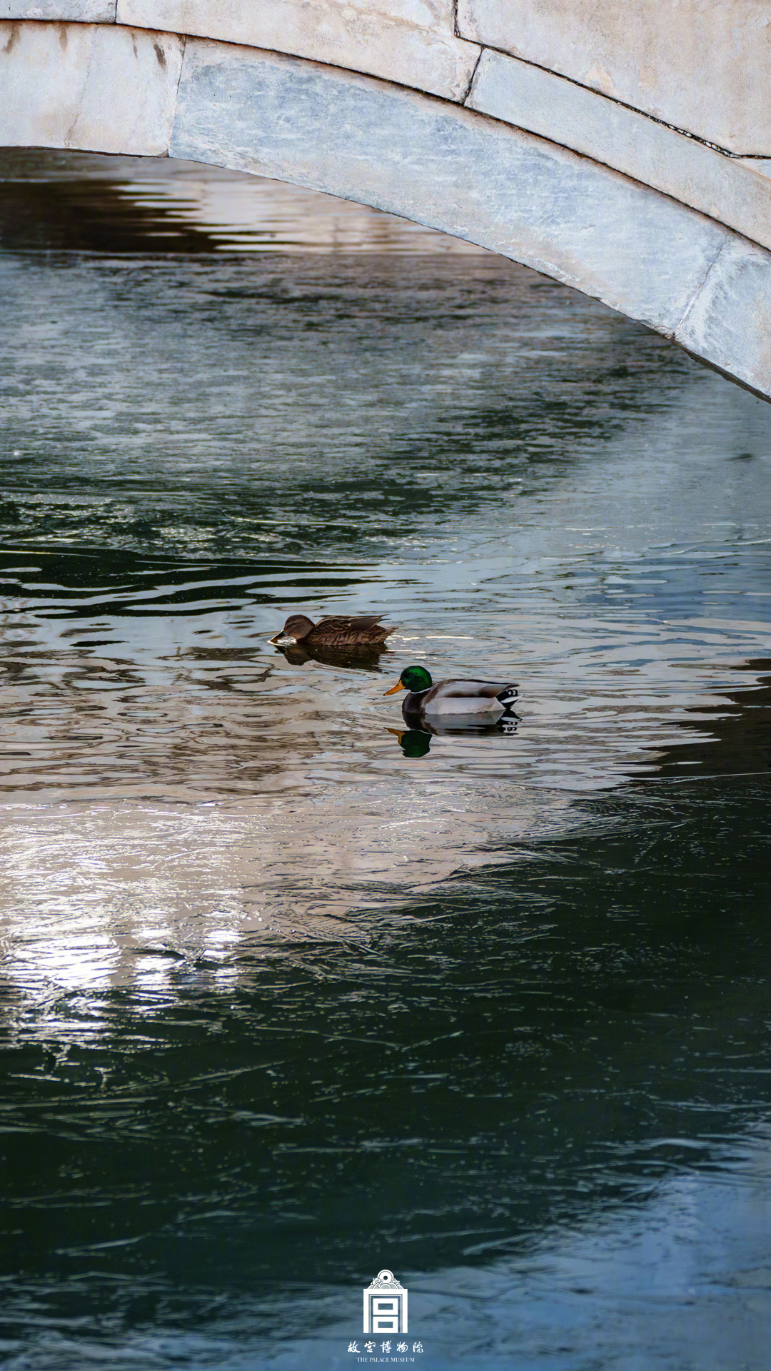 收藏！把故宫的鸟儿框进壁纸