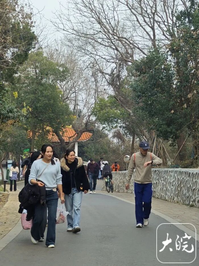 大蜀山可以骑车上山了?管理部门回应 大蜀山可以骑车上山了?管理部门回应