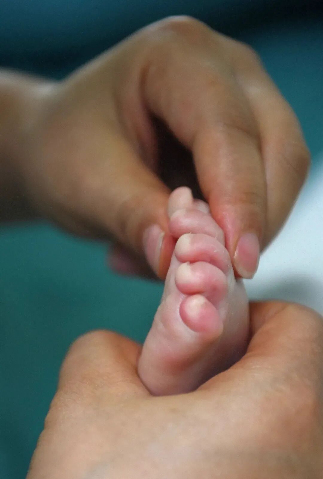 一地宝妈已实现“生娃不花钱”,1.1万余人自费不足10元! 一地宝妈已实现“生娃不花钱”,1.1万余人自费不足10元!