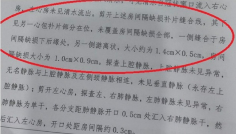 韩红怒了,为小洛熙发声 韩红怒了,为小洛熙发声