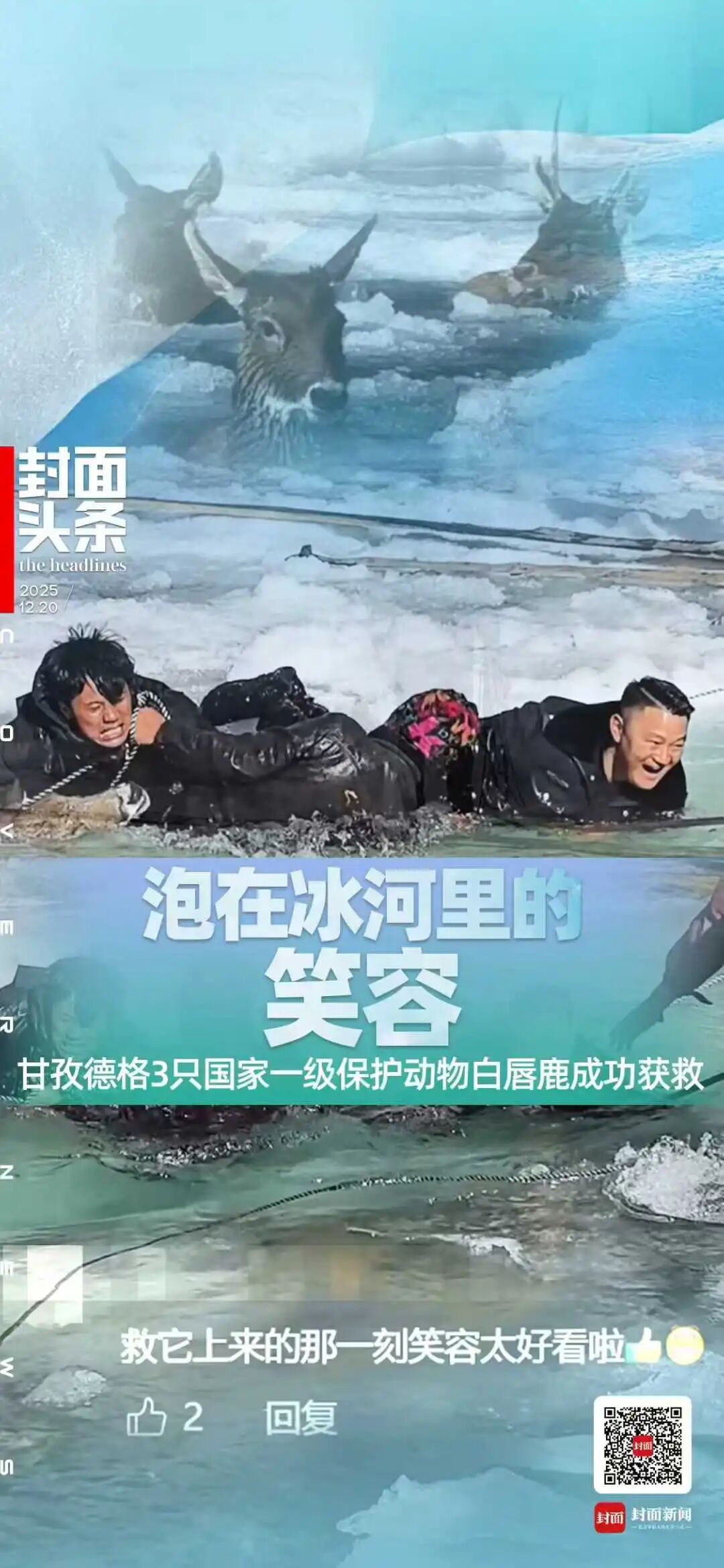 冰河刺骨,但笑容滚烫!四川甘孜警民零下10℃冰河中,救出3只珍稀白唇鹿 冰河刺骨,但笑容滚烫!四川甘孜警民零下10℃冰河中,救出3只珍稀白唇鹿