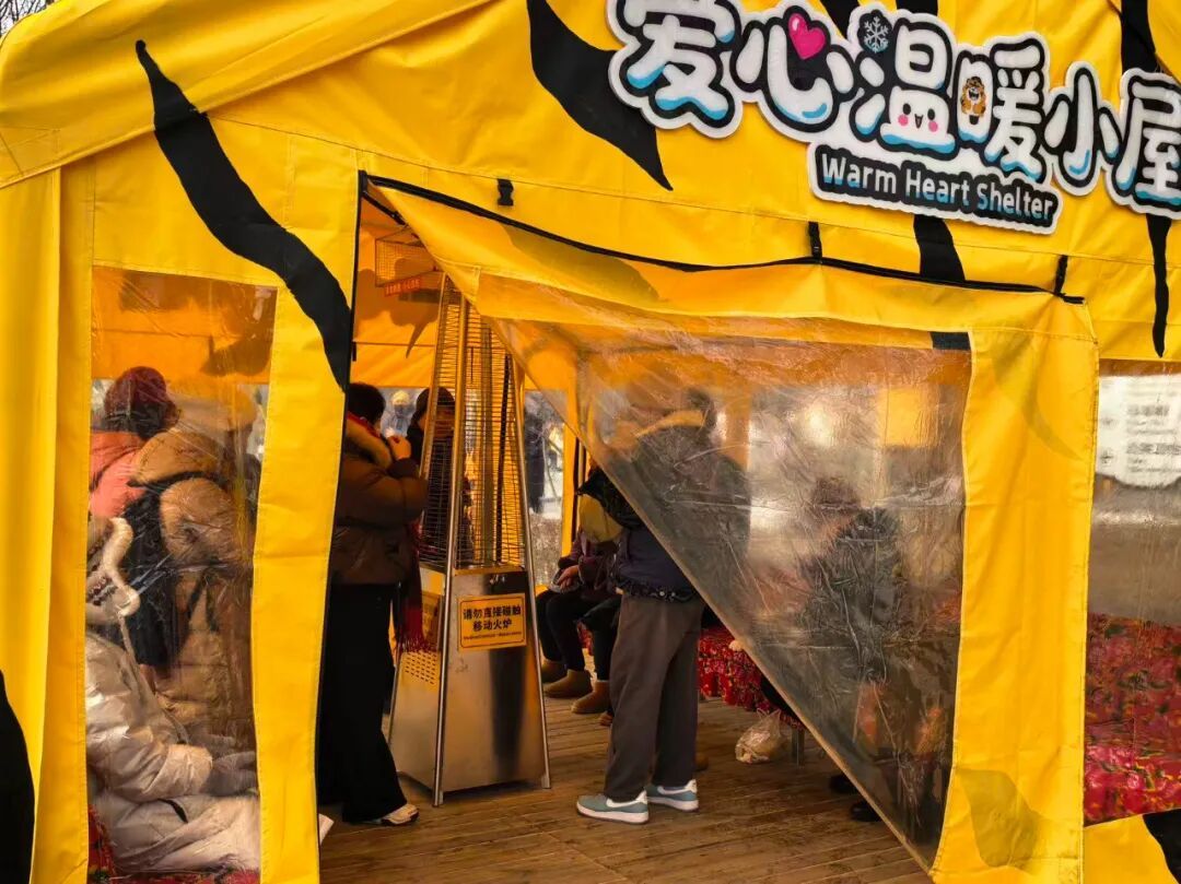 为游客设温暖小屋、大树穿上针织 “新衣”:东北虎林园冬季“换装”迎客 为游客设温暖小屋、大树穿上针织 “新衣”:东北虎林园冬季“换装”迎客