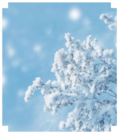 烟台、威海为何成“雪窝” 烟台、威海为何成“雪窝”