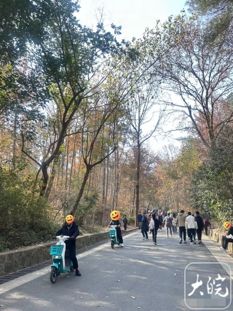 大蜀山可以骑车上山了?管理部门回应 大蜀山可以骑车上山了?管理部门回应