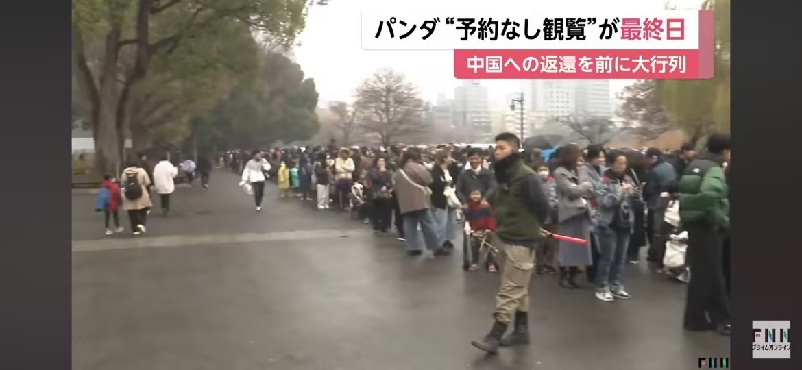 日媒：上野动物园旅日大熊猫将回国，23日起参观需网上提前预约