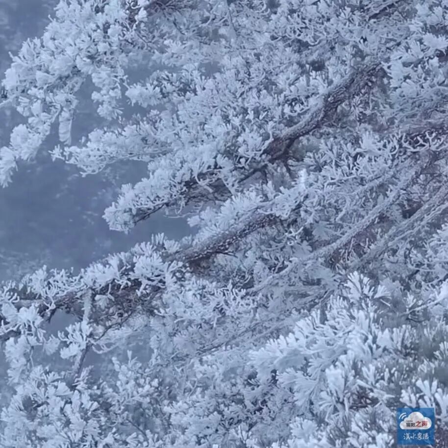 狂降10℃！湖北多地下雪，接下来的天气......