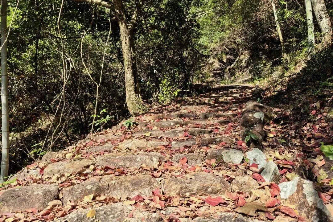 共20处！浙江公路与运输行业第一批重点历史文化遗存名单公布