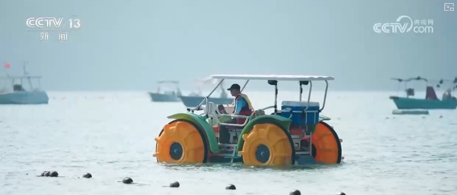关键数智化技术赋能四季皆宜文旅体验 智慧海岛玩转新玩法激活新消费