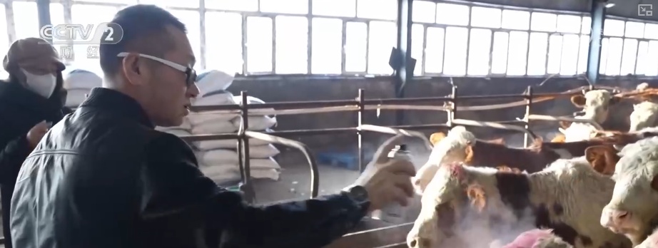 保畅通、护生产 各地以“雪”为令多举措保障群众生产生活平稳有序 保畅通、护生产 各地以“雪”为令多举措保障群众生产生活平稳有序