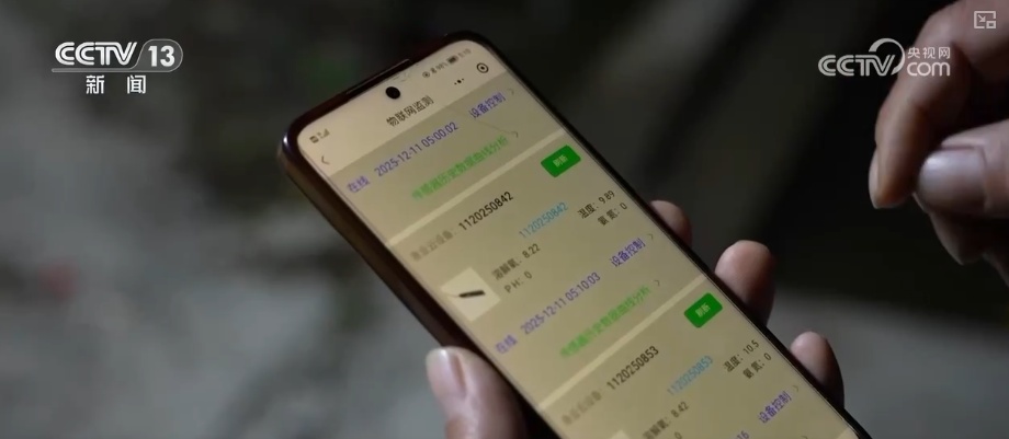 “鲜”链延伸撬动海洋经济新增长点 数字赋能让“娇贵”水产“鲜”行千里