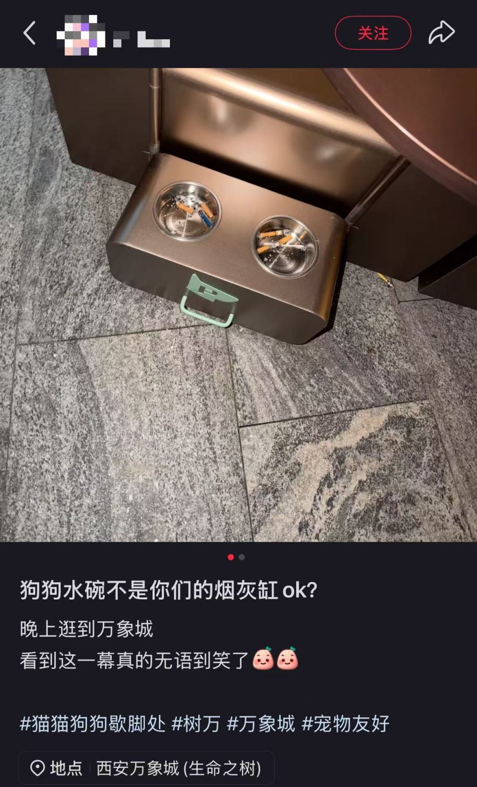 西安一商场被指宠物水碗成“烟灰缸”？回应：属大型商超不允许宠物入内，将了解情况