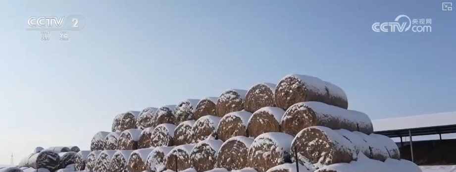 保畅通、护生产 各地以“雪”为令多举措保障群众生产生活平稳有序 保畅通、护生产 各地以“雪”为令多举措保障群众生产生活平稳有序