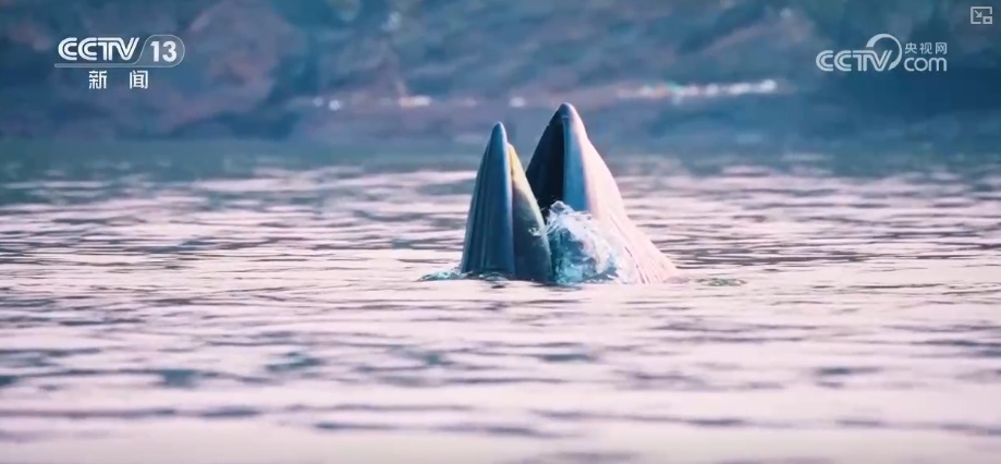 关键数智化技术赋能四季皆宜文旅体验 智慧海岛玩转新玩法激活新消费