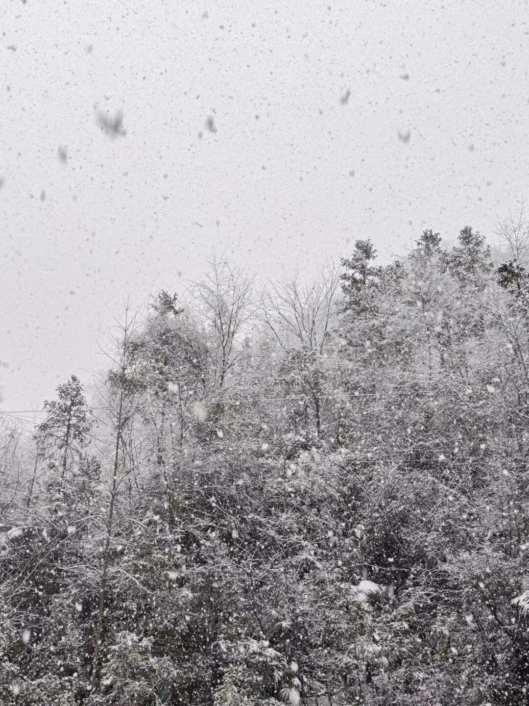 狂降10℃！湖北多地下雪，接下来的天气......