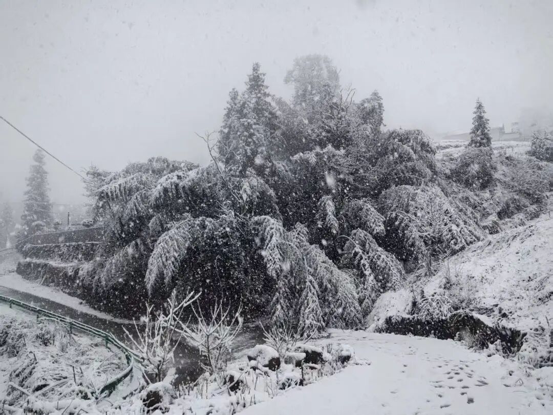 狂降10℃！湖北多地下雪，接下来的天气......