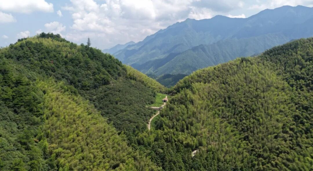 共20处！浙江公路与运输行业第一批重点历史文化遗存名单公布