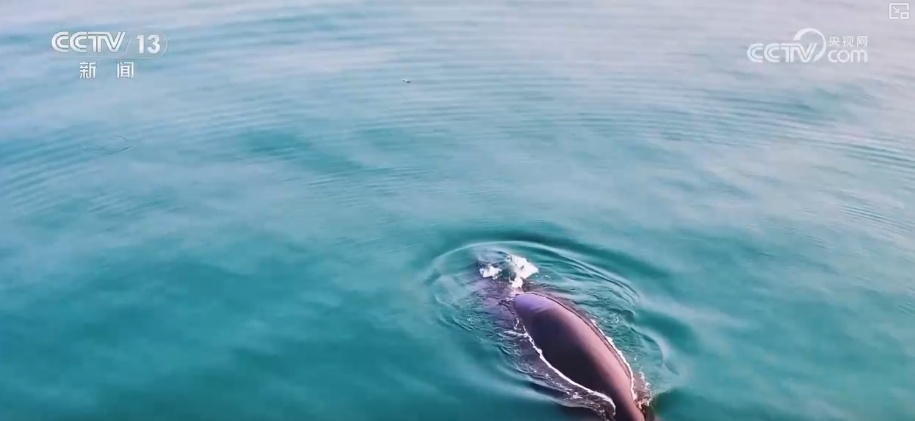 关键数智化技术赋能四季皆宜文旅体验 智慧海岛玩转新玩法激活新消费