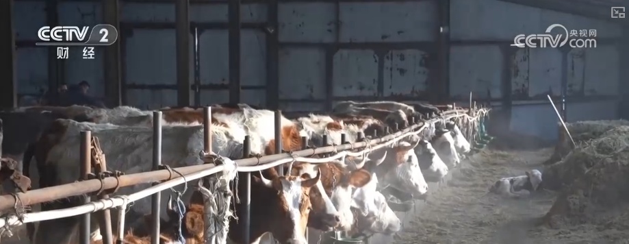 保畅通、护生产 各地以“雪”为令多举措保障群众生产生活平稳有序 保畅通、护生产 各地以“雪”为令多举措保障群众生产生活平稳有序