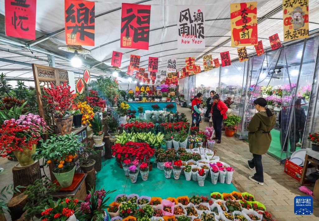 浙江绍兴：年宵花卉迎新年