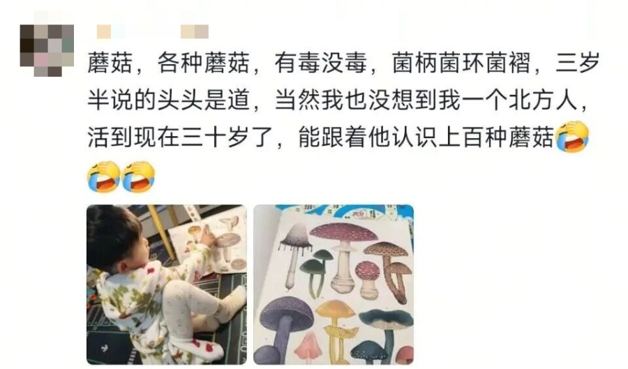 看之前：收集垃圾桶啥小众爱好？？看之后：小朋友们还是太强了