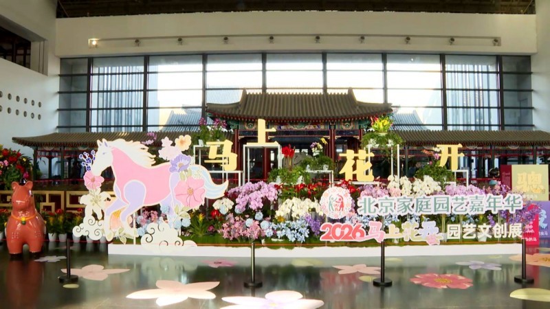 超1000种特色年宵花陆续上市 2026北京家庭园艺嘉年华将于元旦启幕