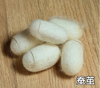 密密麻麻，杭州姑娘体内取出2斤！医生傻眼：你都25岁了...