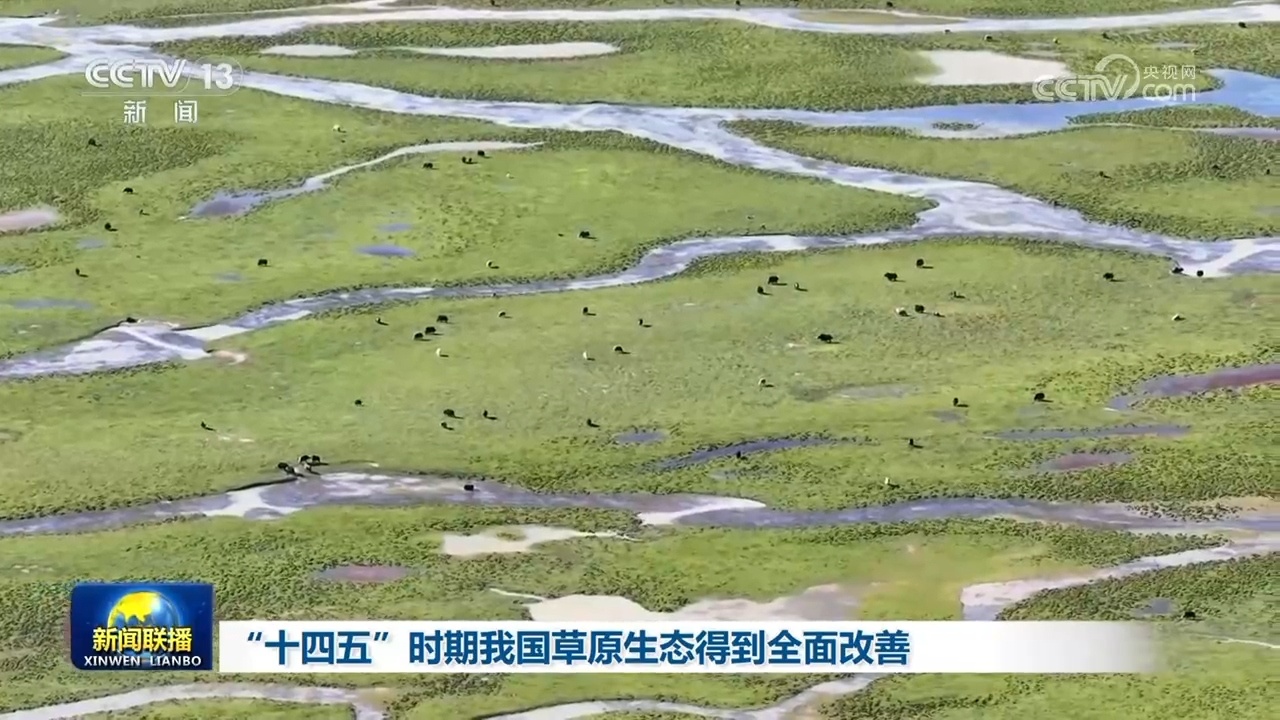“十四五”时期我国草原生态得到全面改善