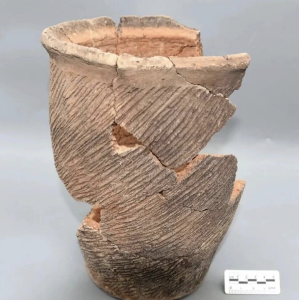 考古新发现！山西永济七社遗址发掘取得重要收获