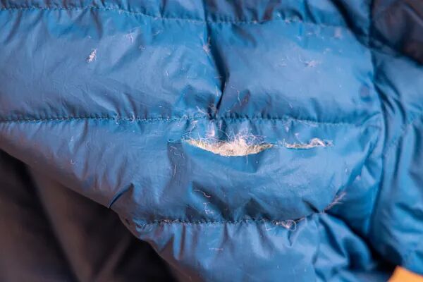 每天穿羽绒服12小时，男子突然呼吸衰竭…肺都变这样了