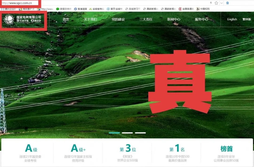 中央网信办举报中心2025年依法受理处置仿冒假冒网站平台1418个