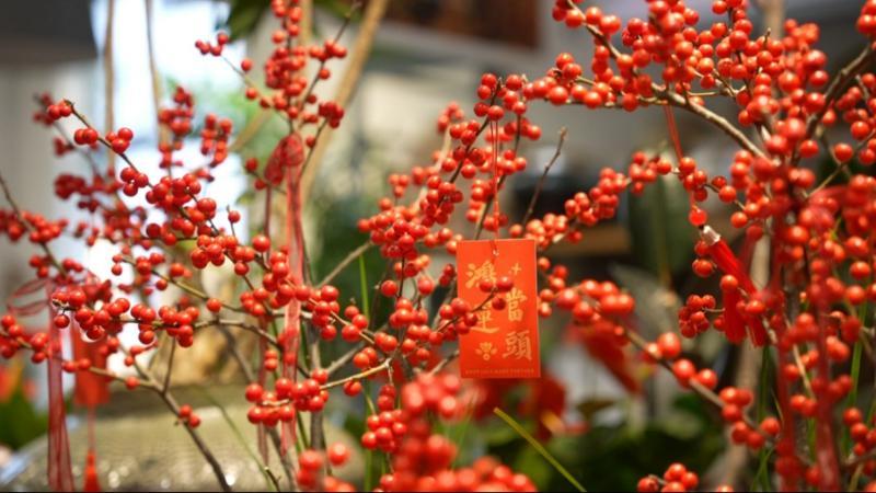 江西新余:元旦鲜花消费热 “美丽经济”开启新年新活力 江西新余:元旦鲜花消费热 “美丽经济”开启新年新活力