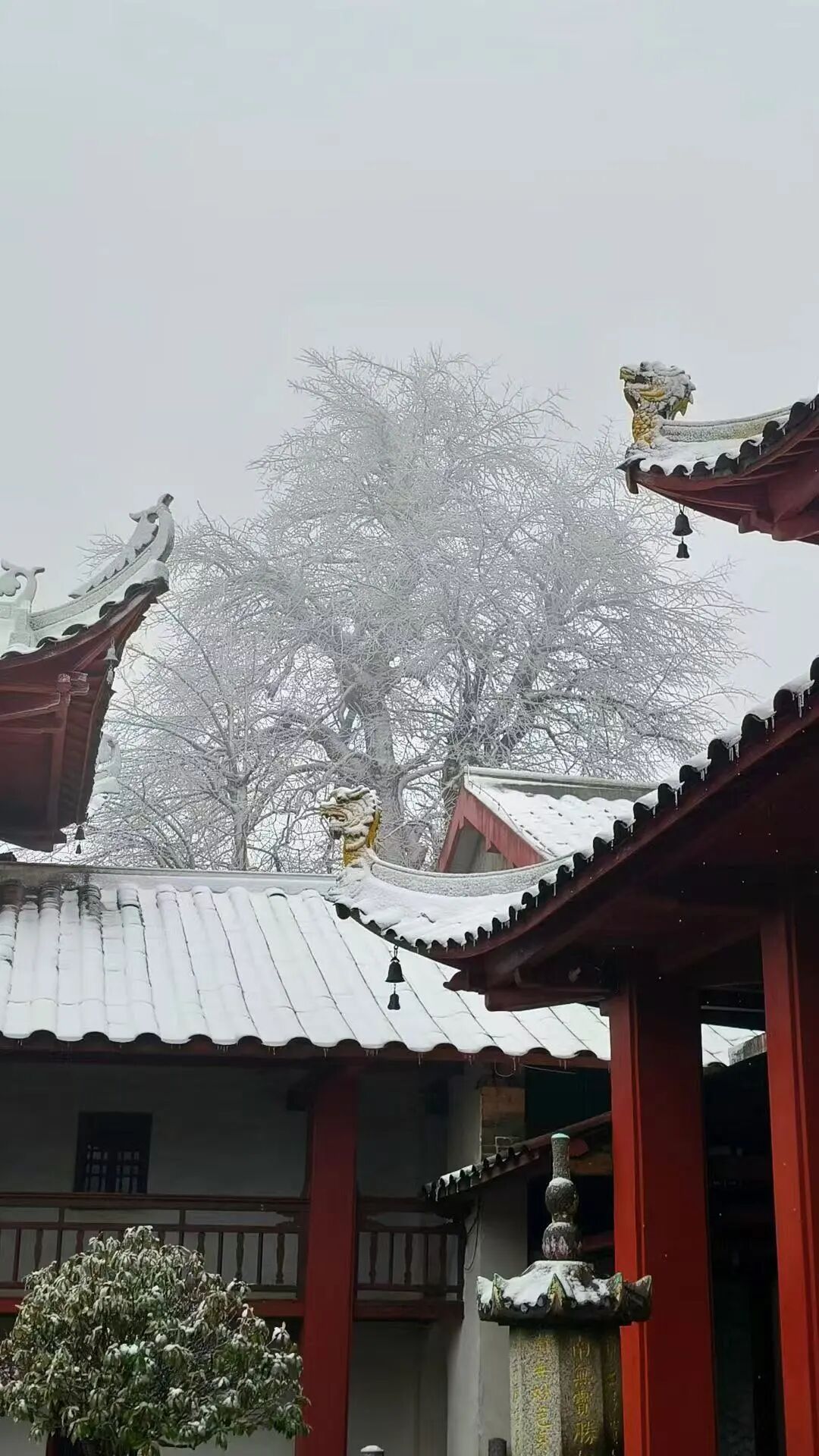 江西多地下雪了！